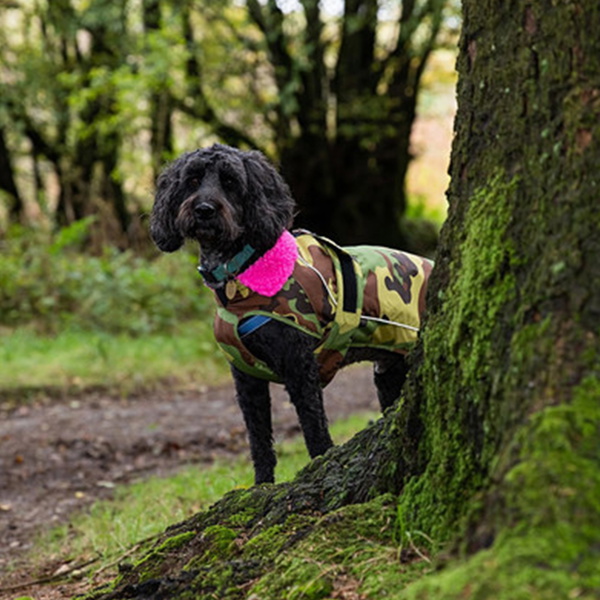 Casaco Para Cães 2026 « Dryrobe » V3DRDC - « Pink » / Camuflagem